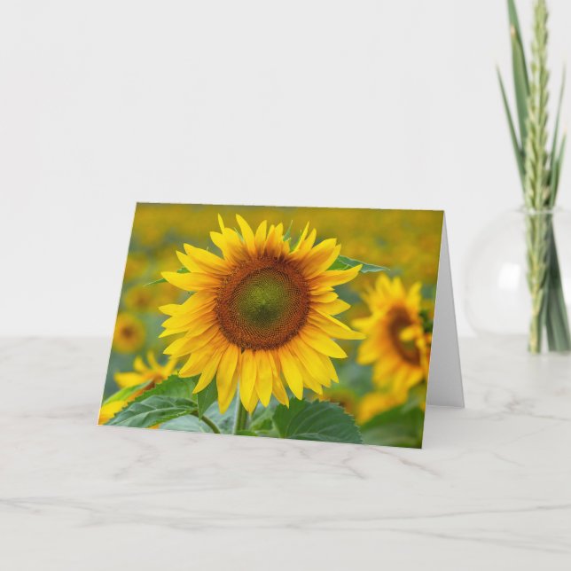 Sonnenblumenmeldekarte Dankeskarte (Vorderseite)