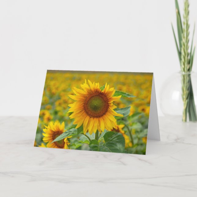 Sonnenblumenmeldekarte Dankeskarte (Vorderseite)