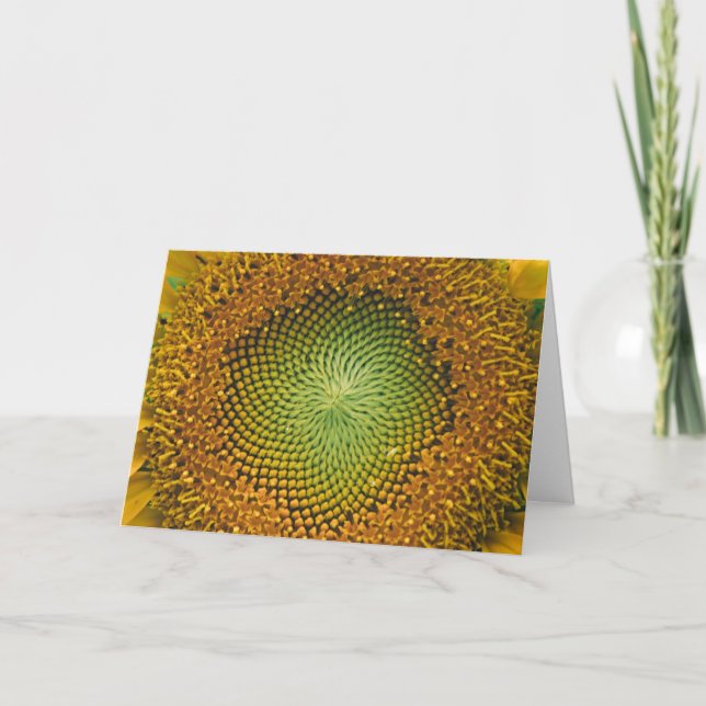 Sonnenblumenmitte Nah-up-Karte Karte (Vorderseite)