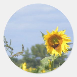 Sonnenblumenmonarch - Anpassen! Runder Aufkleber