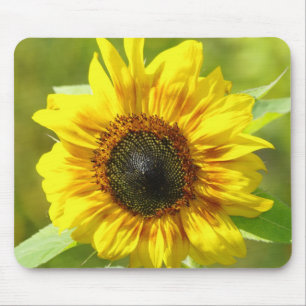 Sonnenblumenmousepad Mousepad
