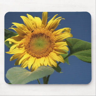 Sonnenblumenmousepad Mousepad