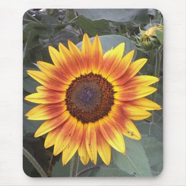 Sonnenblumenmousepad Mousepad (Vorne)