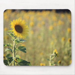 Sonnenblumenmousepad Mousepad
