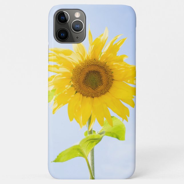 Sonnenblumennatur-Foto Case-Mate iPhone Hülle (Rückseite)