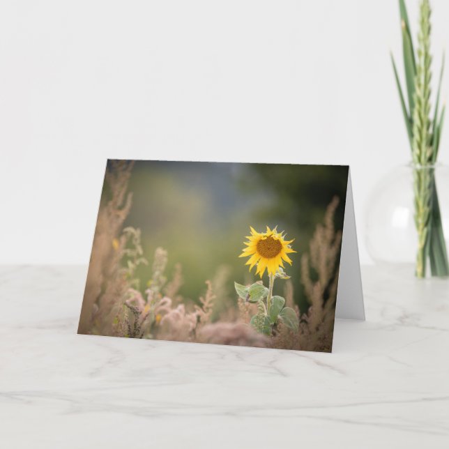 Sonnenblumennatur-Foto Karte (Vorderseite)