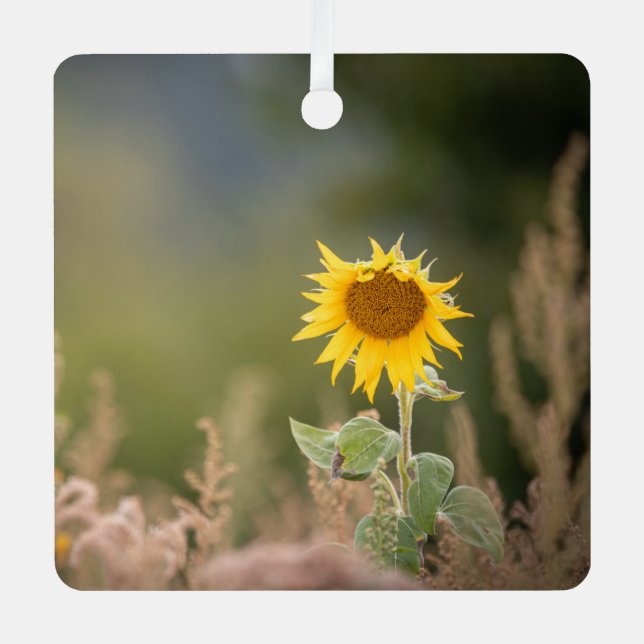 Sonnenblumennatur-Foto Ornament Aus Metall (Vorderseite)