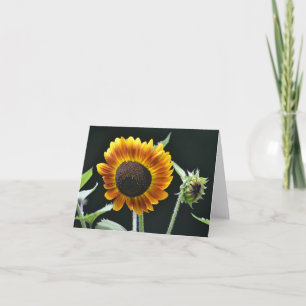Sonnenblumennotecard Karte