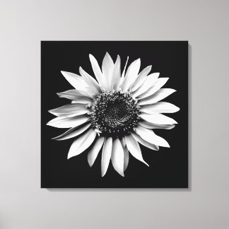 'Sonnenblumenportrait' gepackte Canvas Print Leinwanddruck