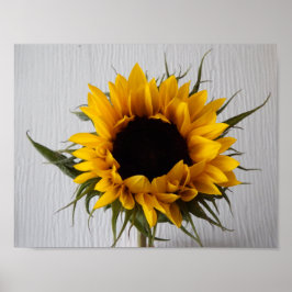 Sonnenblumenposter Poster