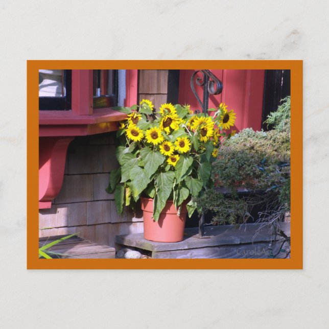 Sonnenblumenpostkarte Postkarte (Vorderseite)