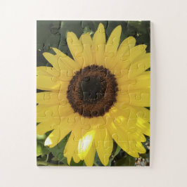 Sonnenblumenpuzzle