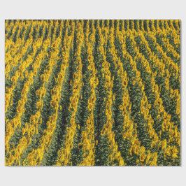 Sonnenblumenreihe Geschenkpapier