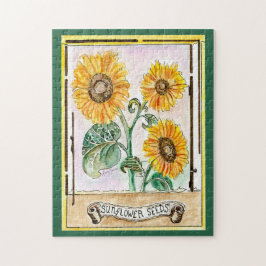 Sonnenblumensaat