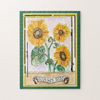 Sonnenblumensaat