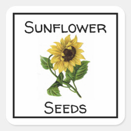 Sonnenblumensaat Quadratischer Aufkleber