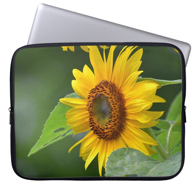 Sonnenblumenschläfer Laptopschutzhülle (Vorderseite)