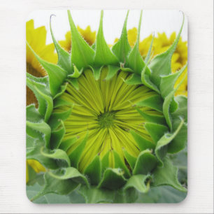 Sonnenblumenserie Mousepad