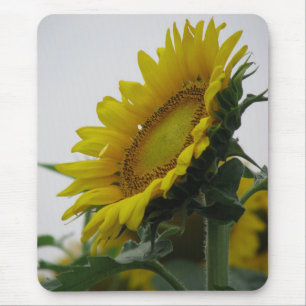 Sonnenblumenserie Mousepad
