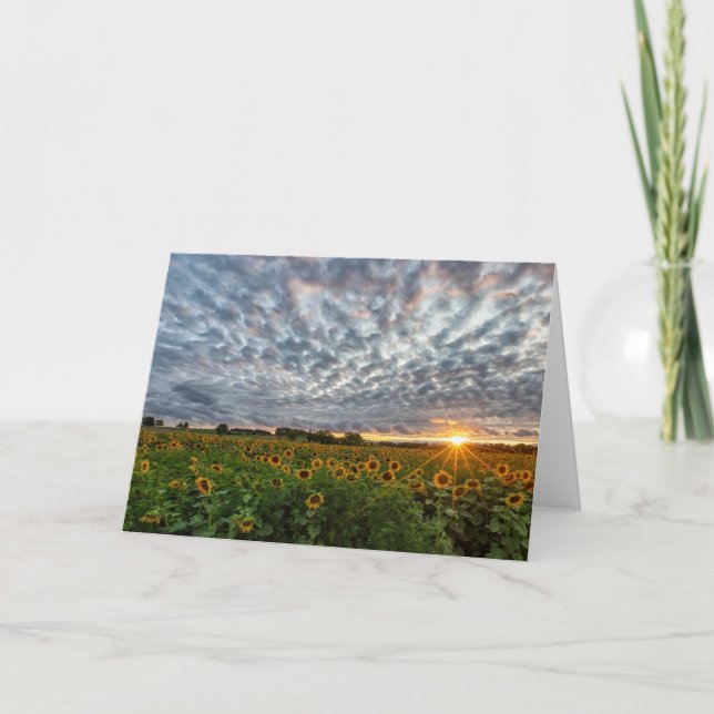 Sonnenblumensonnenkarte Dankeskarte (Vorderseite)