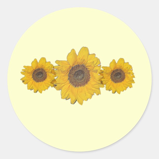Sonnenblumentrio Runder Aufkleber (Vorderseite)
