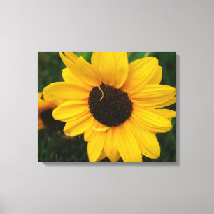 Sonnenblumenüberwurf Leinwanddruck