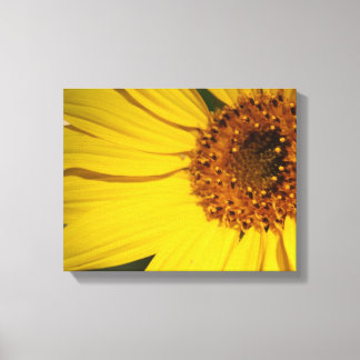 Sonnenblumenüberwurf Leinwanddruck