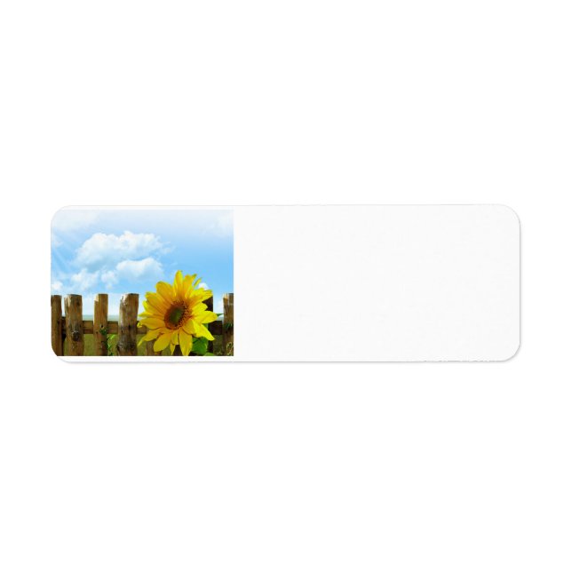 Sonnenblumenwelt (Vorne)