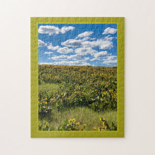 Sonnenblumenwiese