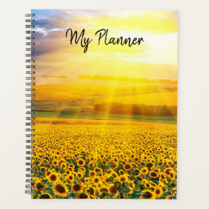 Sonnenblumenwiesen Planer