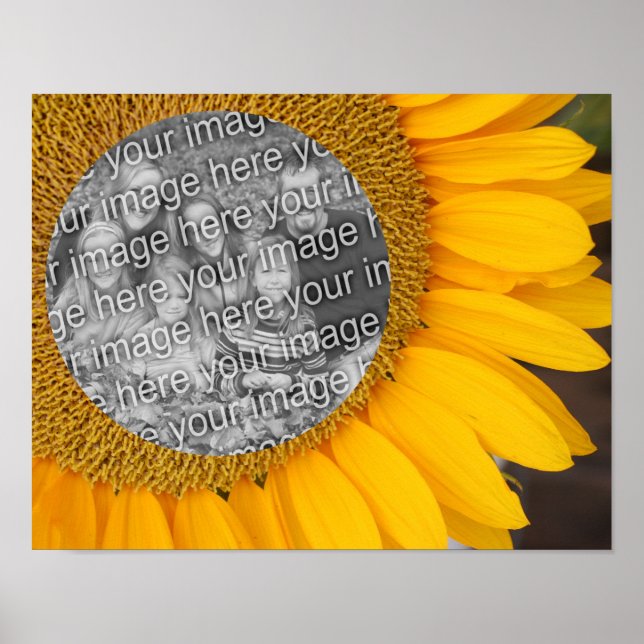 Sonnenblumenzentrierrahmen Ihr Foto hinzufügen Poster (Vorne)