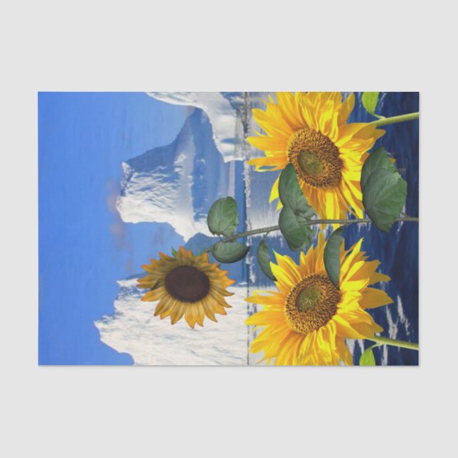 Sonnenblumenzwirnpapier Seidenpapier (Vorderseite)