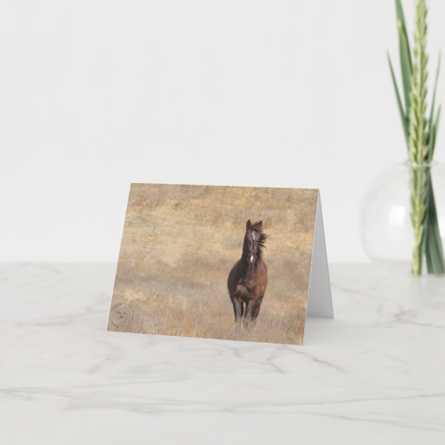 Sonnenbrand Karte (Vorderseite)