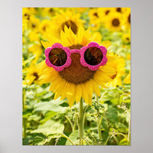 Sonnenbrille auf Sonnenblume Poster
