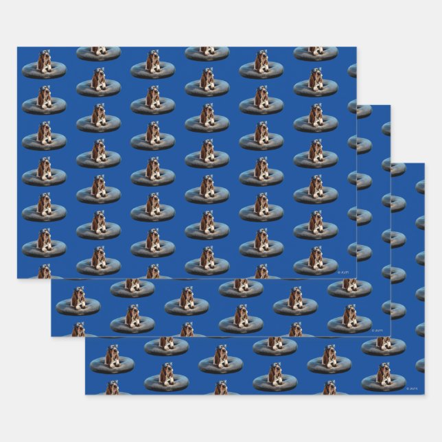 Sonnenbrille Geschenkpapier Set (Set)