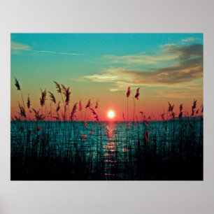 Sonnencreme Poster
