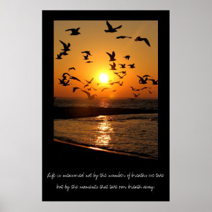 Sonnencreme Poster