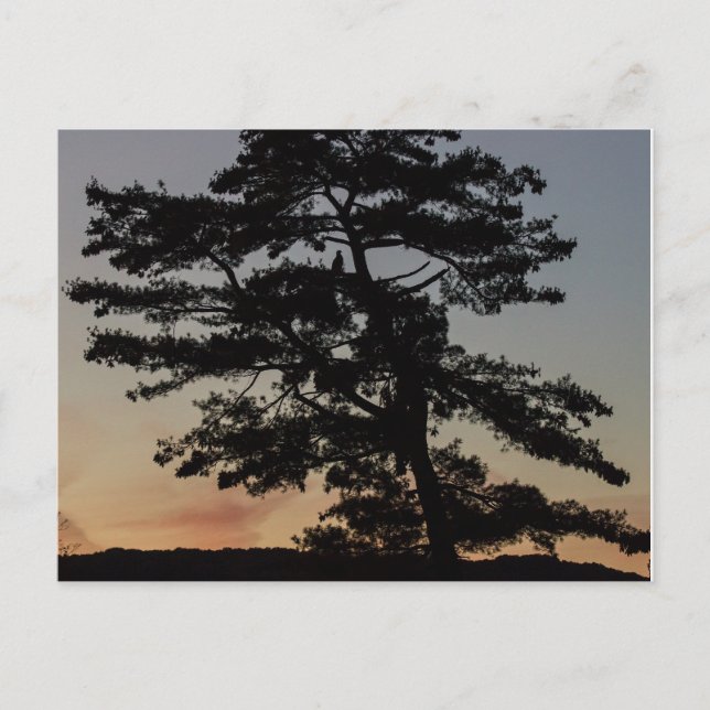 Sonnencreme Postkarte (Vorderseite)