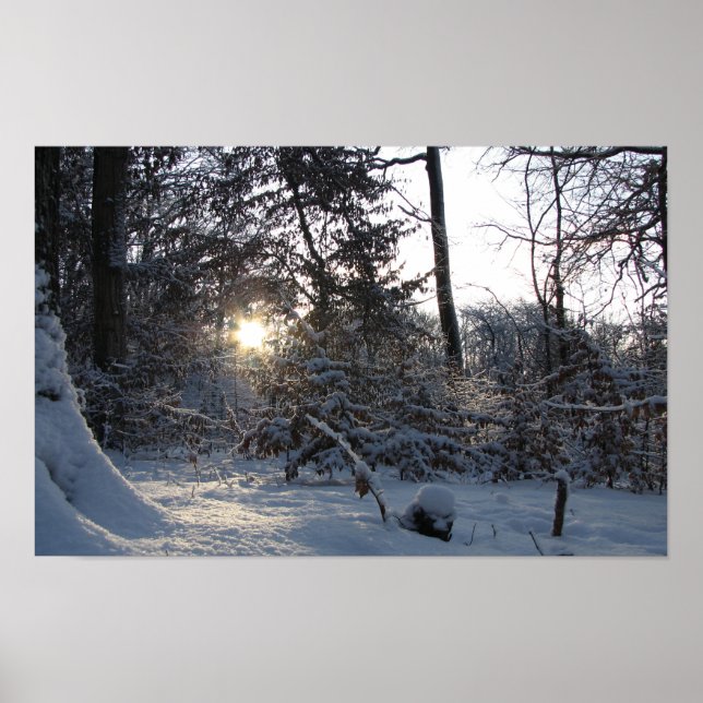 Sonneneinstrahlung durch die Bäume Poster (Vorne)