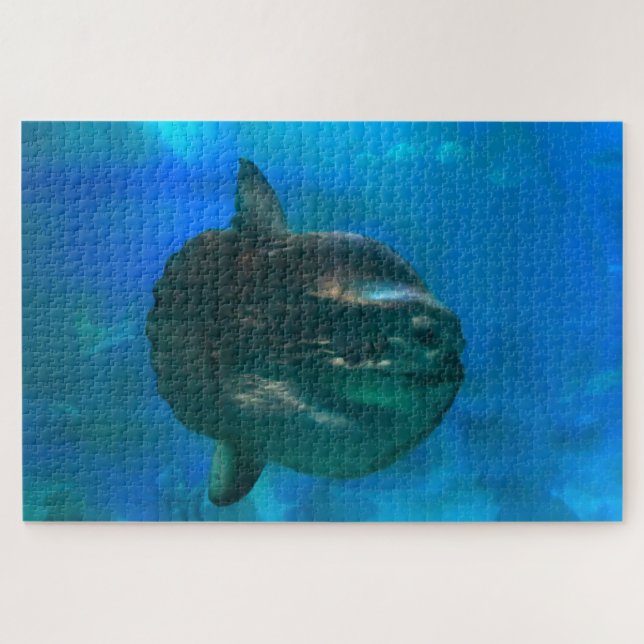 Sonnenfisch. (Horizontal)