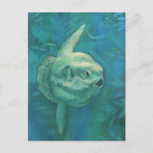 Sonnenfische, Mondfische, Unterwassertiere Art Postkarte (Vorderseite)
