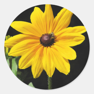 Sonnengelbe Blume Runder Aufkleber
