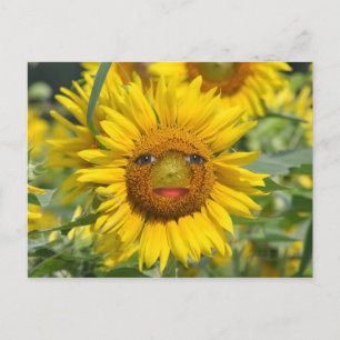 SONNENGESICHT POSTKARTE