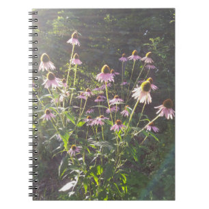 Sonnenhutblumen in der Sonne Notizblock