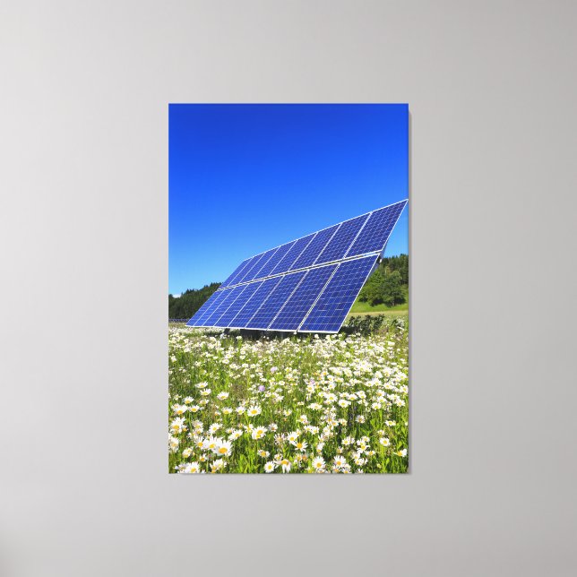 Sonnenkollektoren und grüne Wiese Leinwanddruck (Vorderseite)