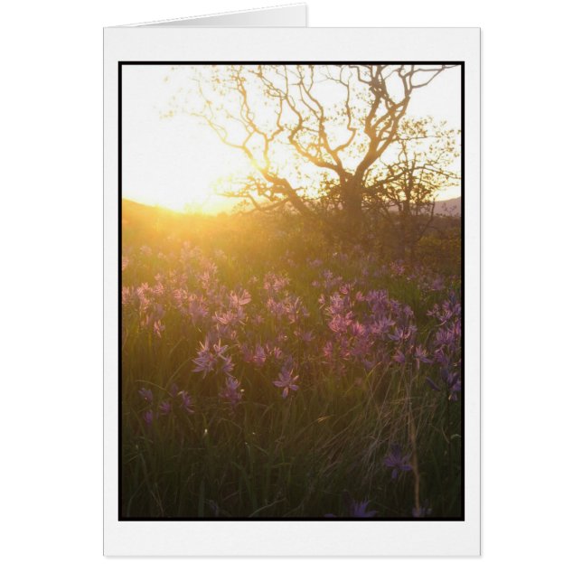 Sonnenlage auf dem Monte Tolmie und Camas (Vorne)