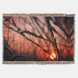 Sonnenlandschaft Foto Kruge Klatsche Decke