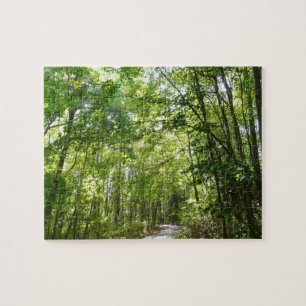 Sonnenlicht auf dem Waldweg im Centennial Park