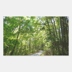 Sonnenlicht auf dem Waldweg im Centennial Park Rechteckiger Aufkleber