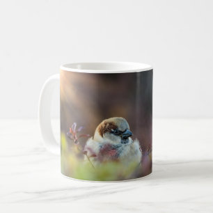 Sonnenlicht Badefinch Tasse